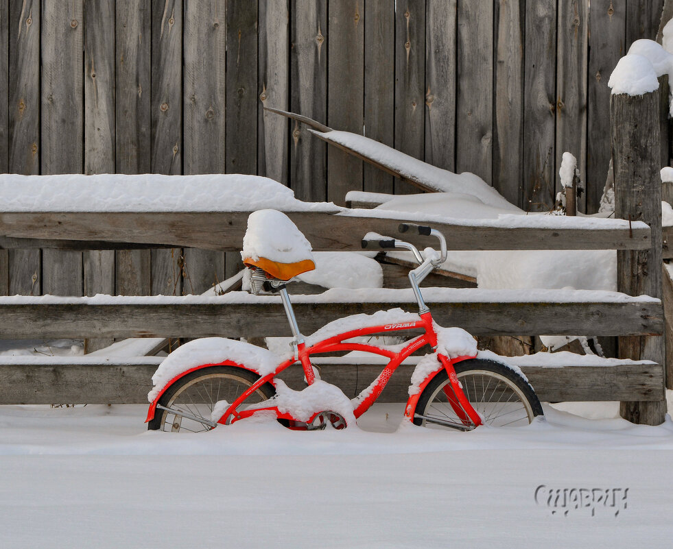 Даже снег сел на велосипед... - Сергей Шаврин