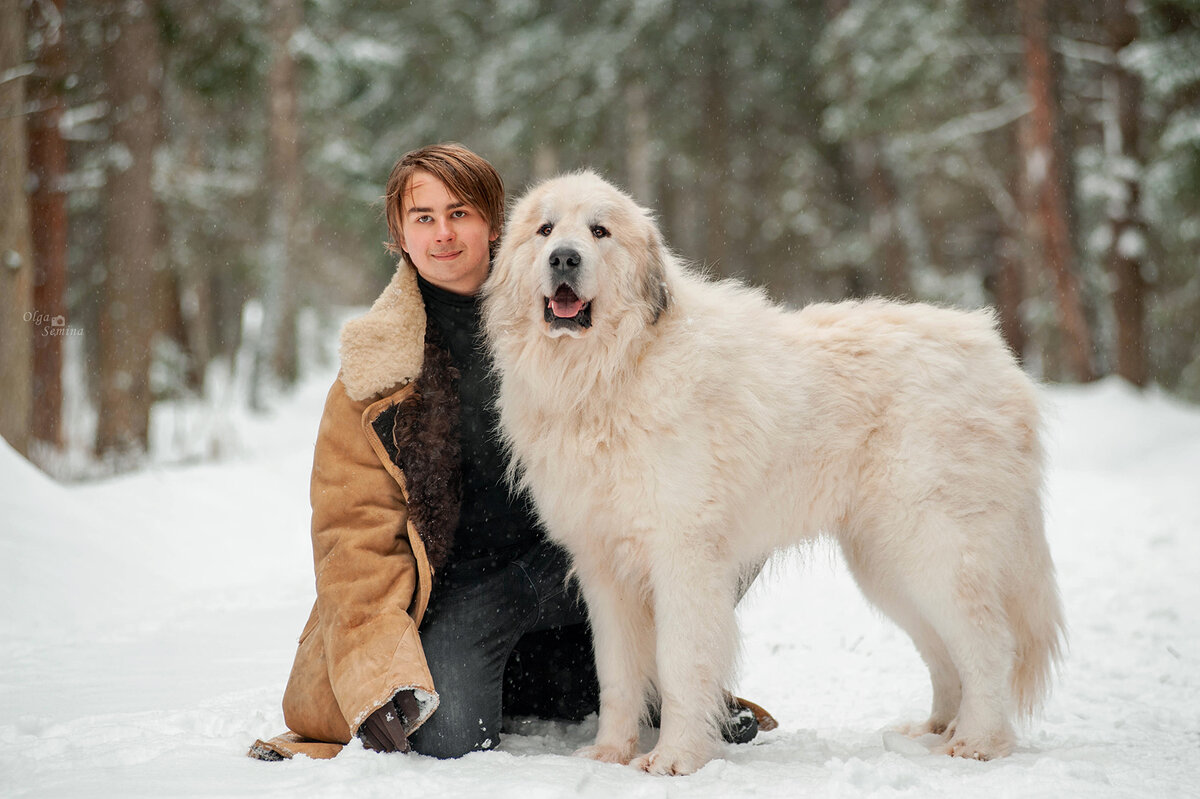 Прогулка с собакой - Ольга Семина