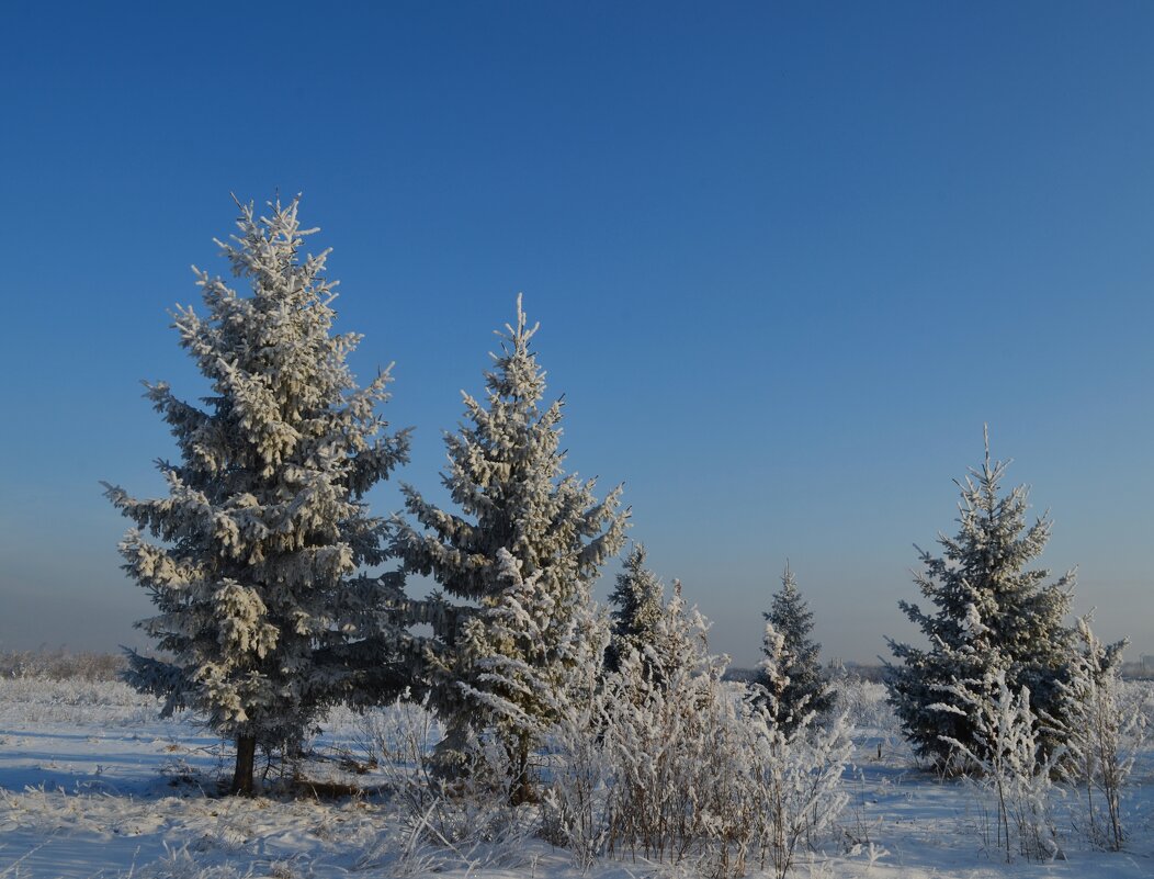 Мороз в Омске - Savayr 