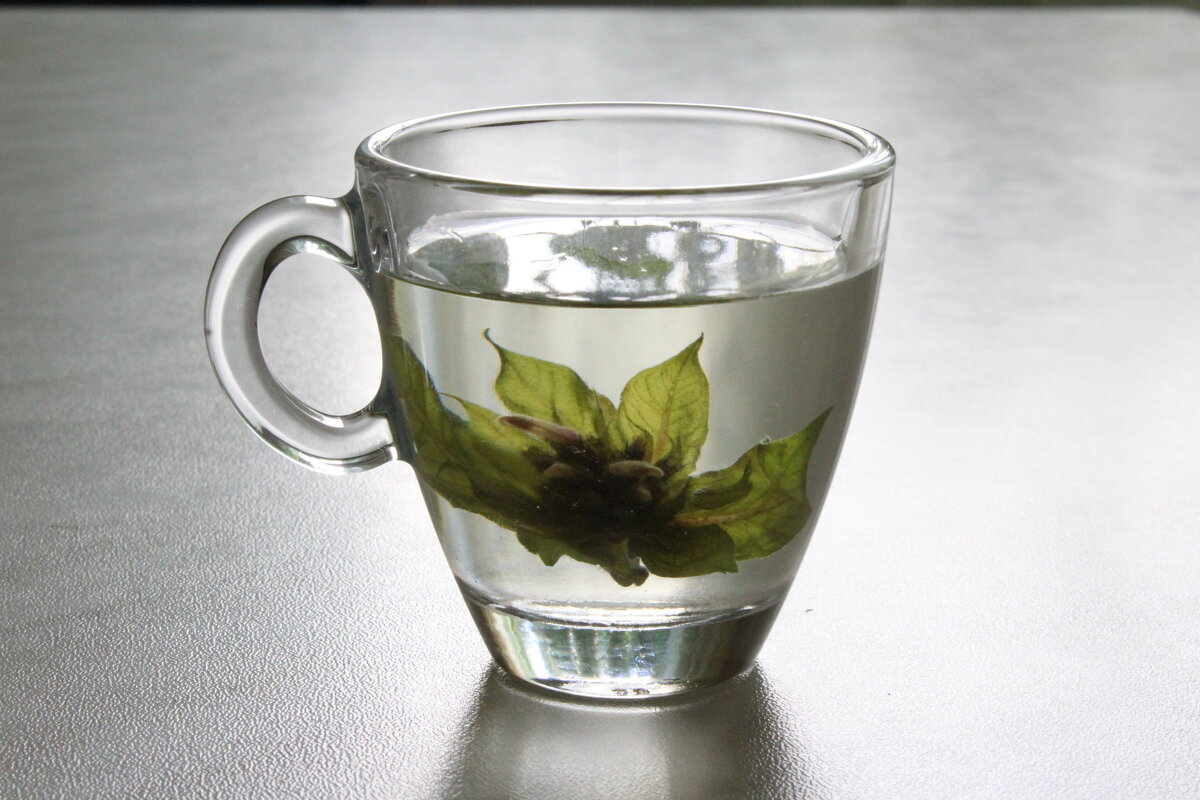 Зелёный чай с мятой. - Нина Сироткина 