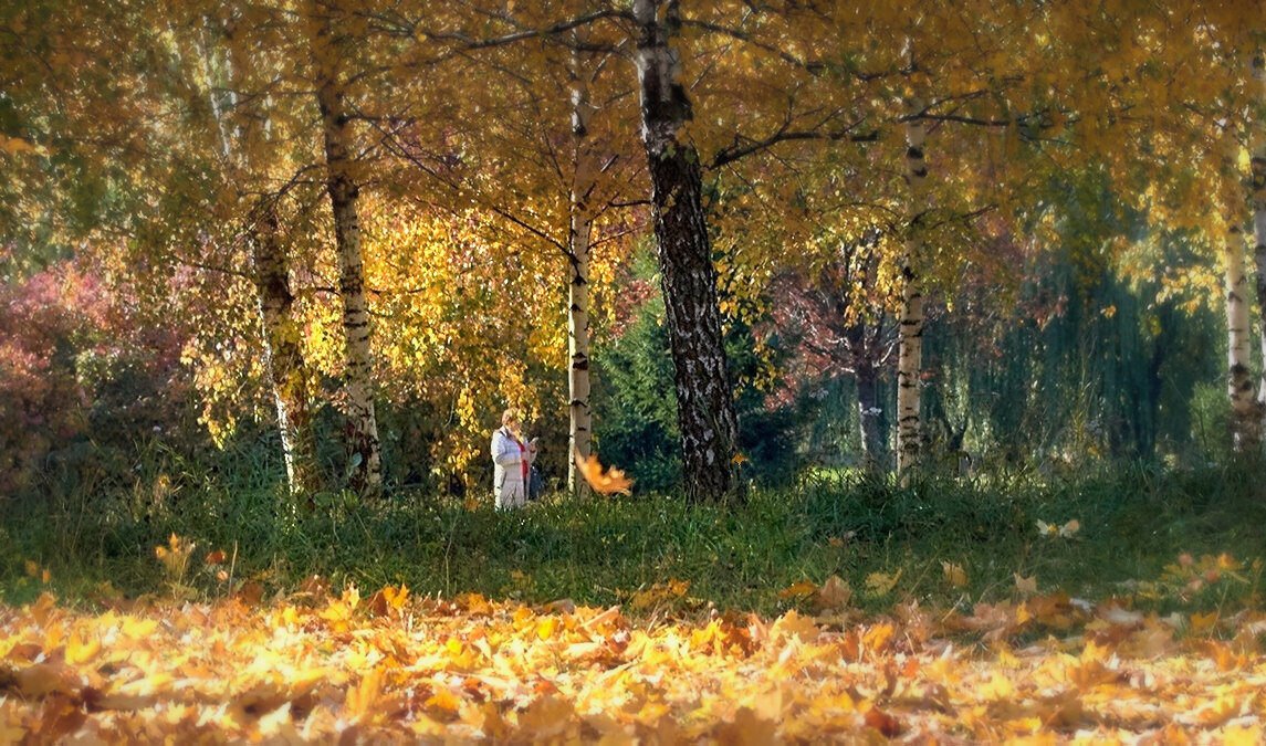 осенняя грусть - Николай Соколухин