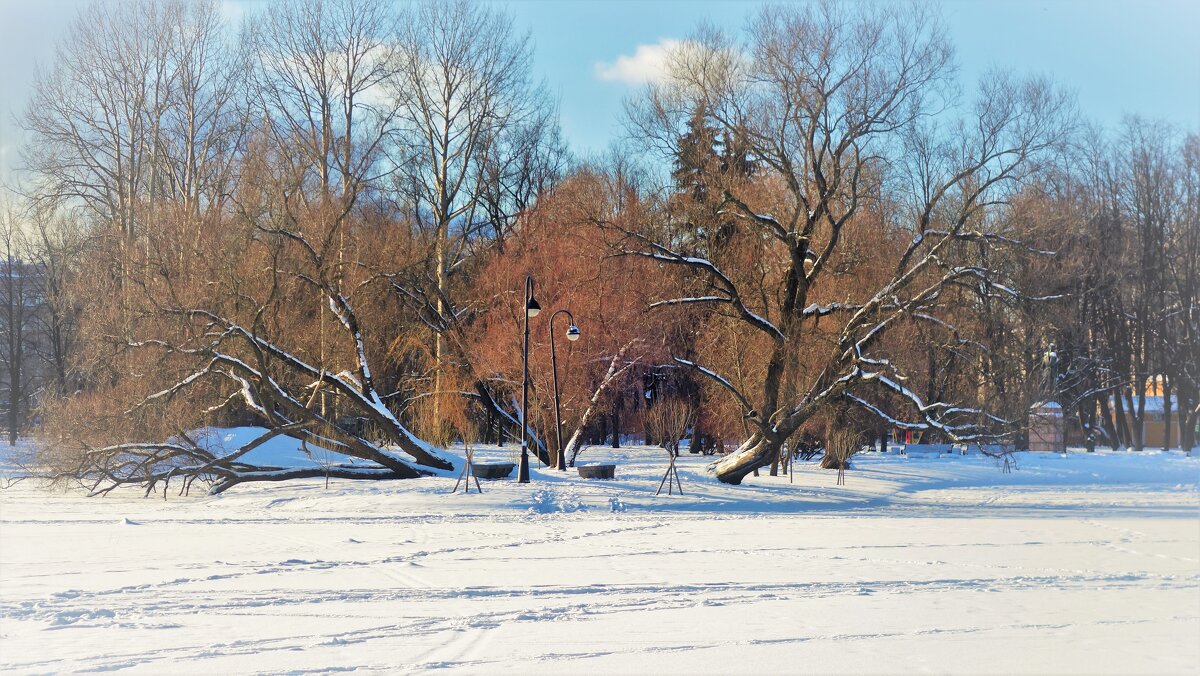 Картинки зимнего Парка 2... - Sergey Gordoff