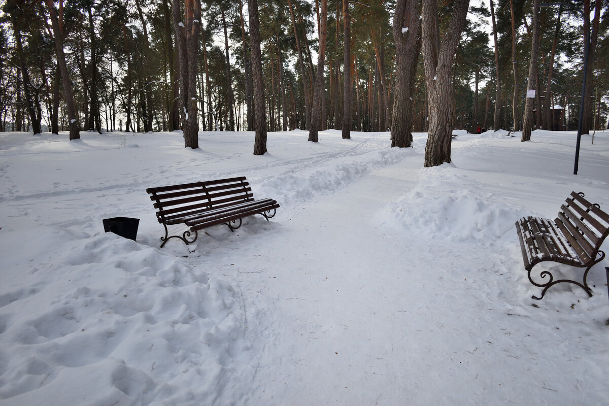 Аллея в зимнем парке - Gera 