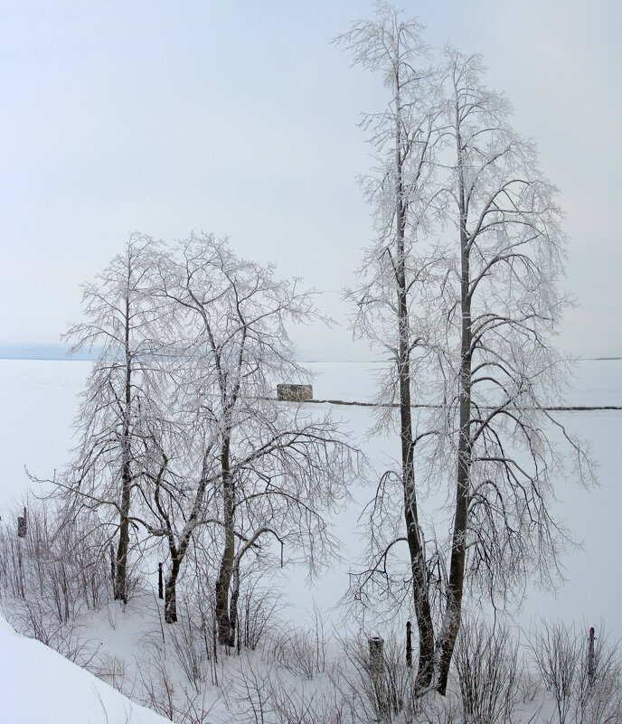 *** - Сергей Григорьев