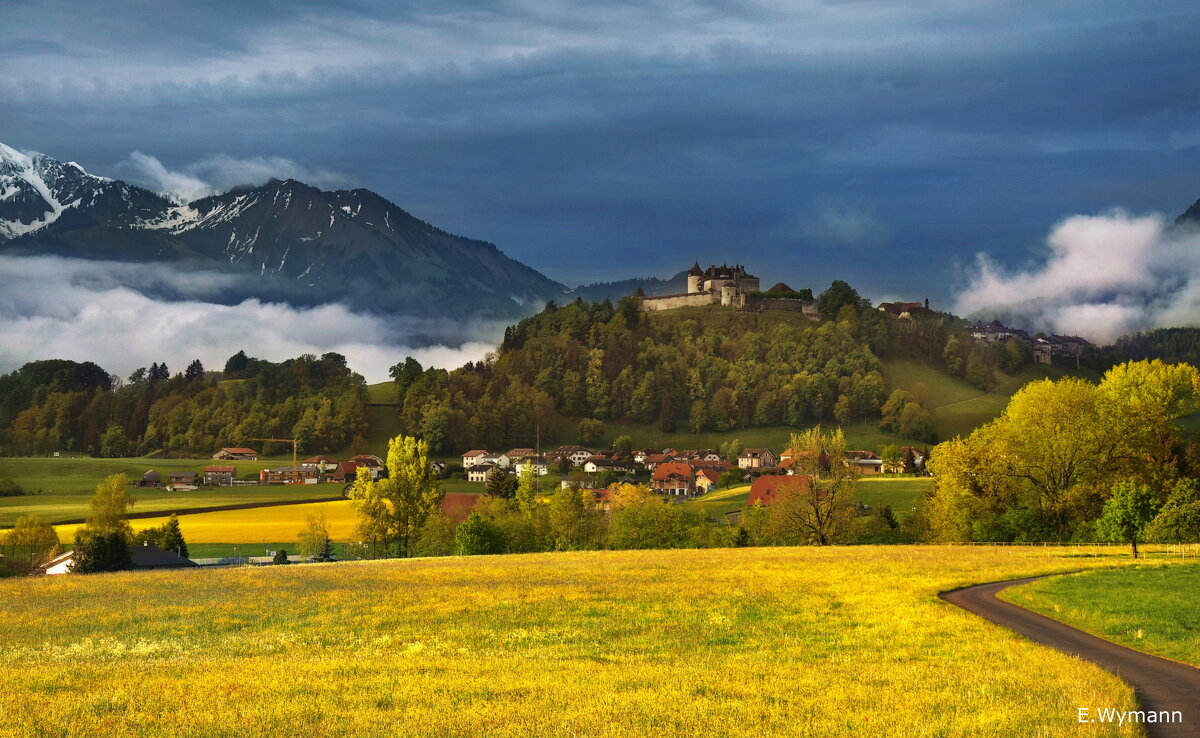 La Gruyère - Elena Wymann