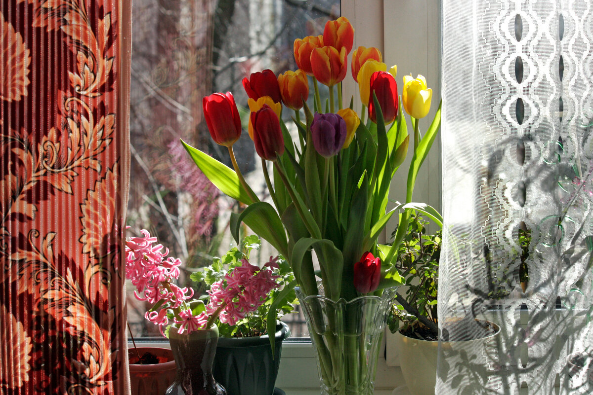 Весна! Цветы на окне - Ирина Румянцева