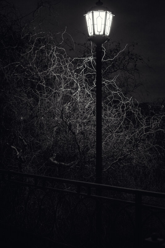 Ночь, улица, фонарь - Дмитрий Радченко