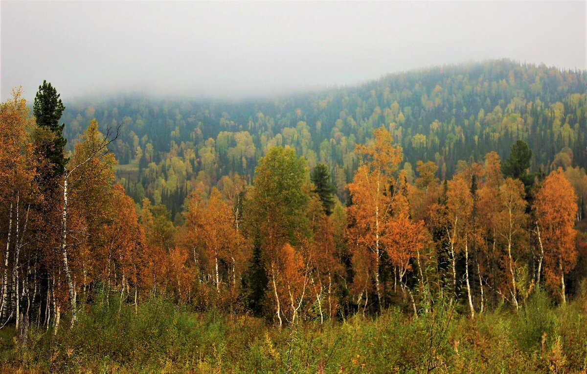 В сентябре - Сергей Чиняев 