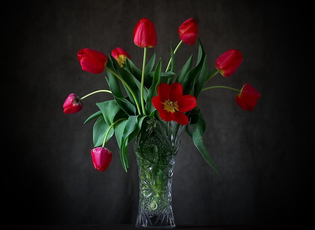 Дарите женщинам цветы .....! - Анатолий Святой 