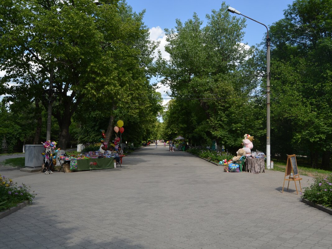 Новочеркасск. Цветут липы в Александровском саду. - Пётр Чернега