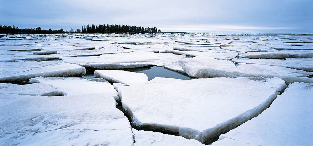 Ледоход на Белом море - Сергей Курников