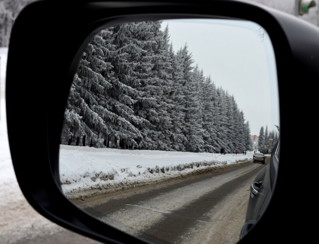 Вид в зеркало авто - Таня Фиалка