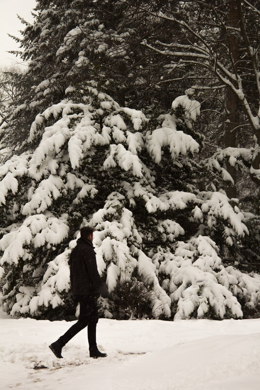 Снег в марте - Aнна Зарубина