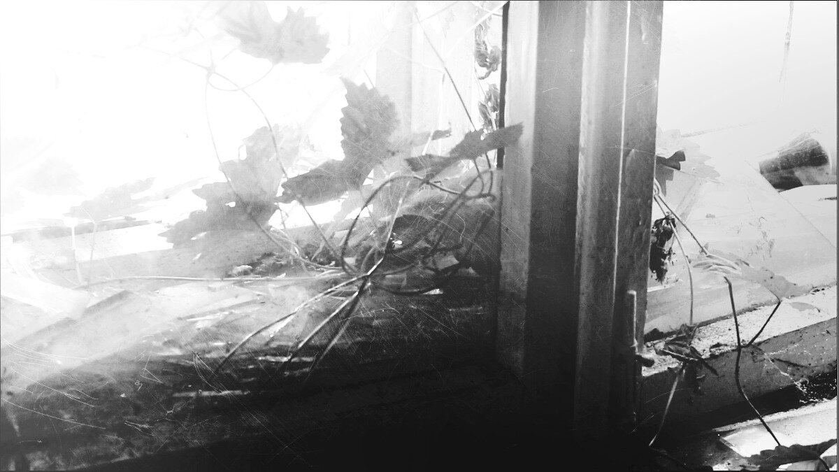 Окно разрушенного дома - Nora Nowhere