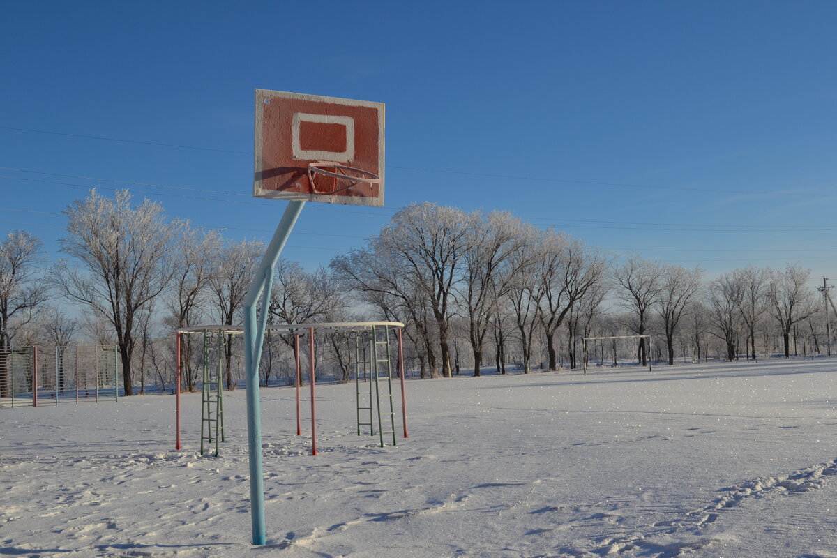 Снежный баскетбол... - Георгиевич 