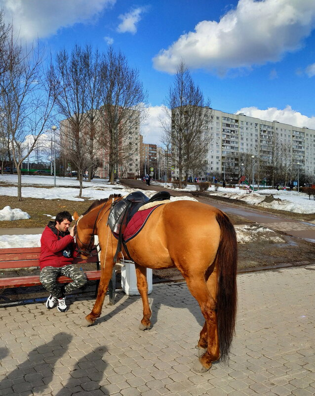 Лошадь - большой друг человека - Андрей Лукьянов