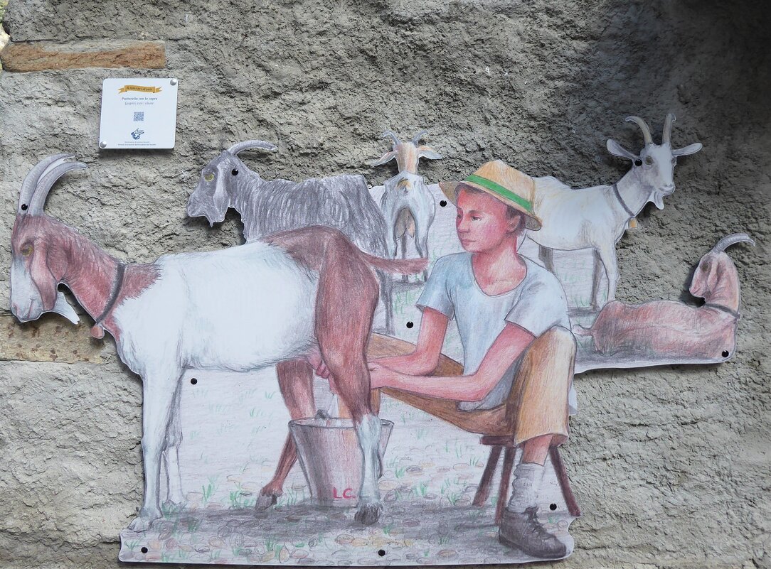 пастушок с козами - Olga 