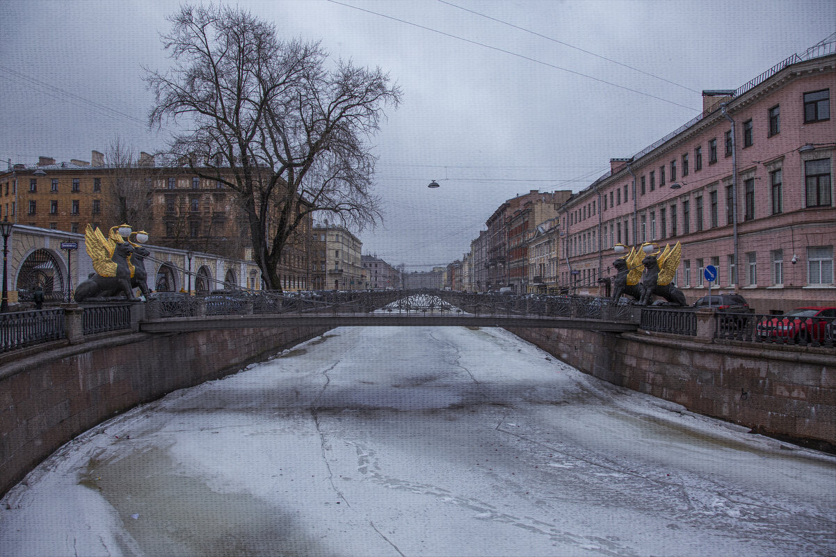 Пасмурный Петербург - Светлана marokkanka