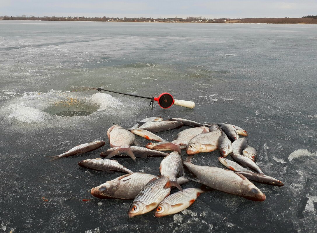 Рыбалка по последнему льду - Юрий Пучков