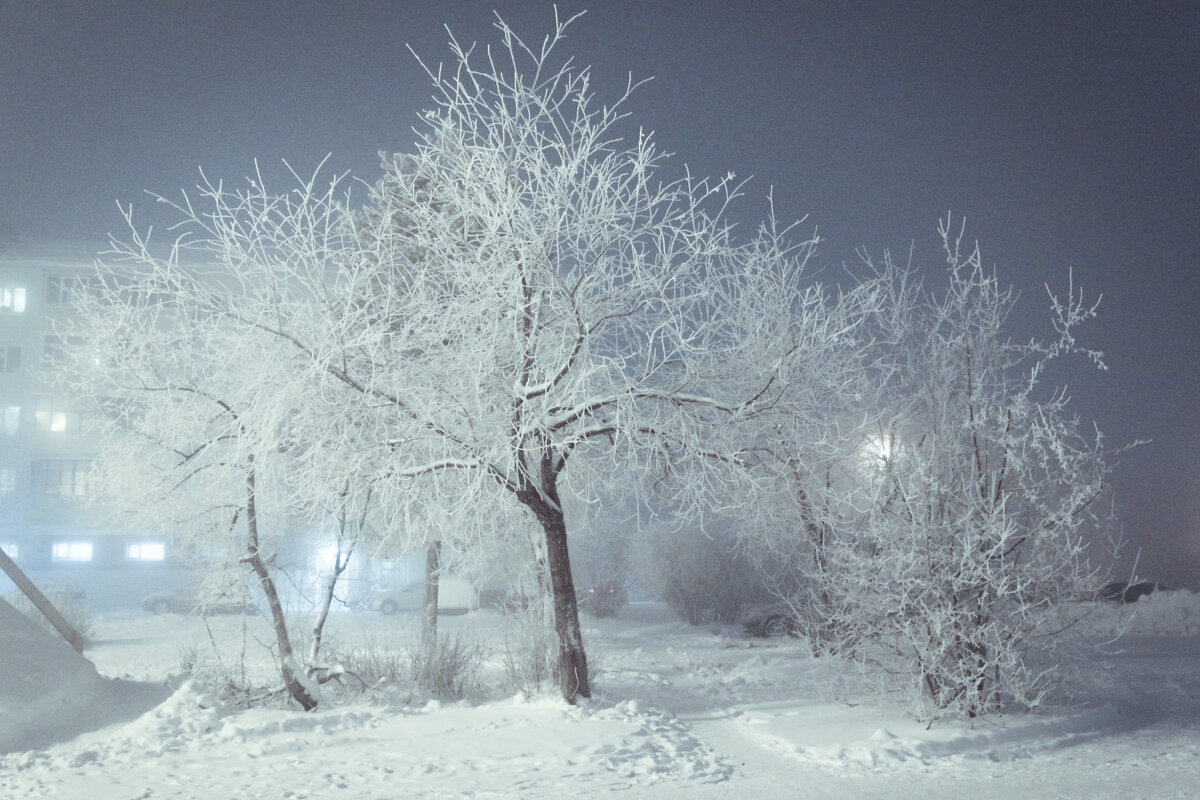 Морозный вечер - Анна Дорофеева