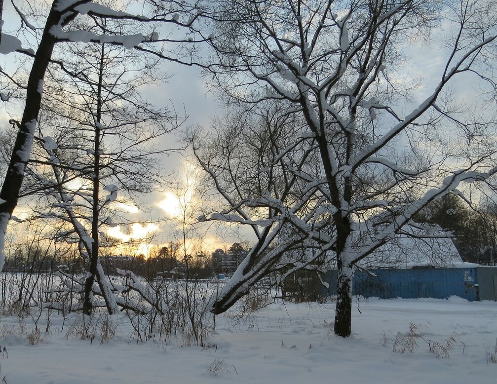 Пейзаж зимний - Вера Щукина