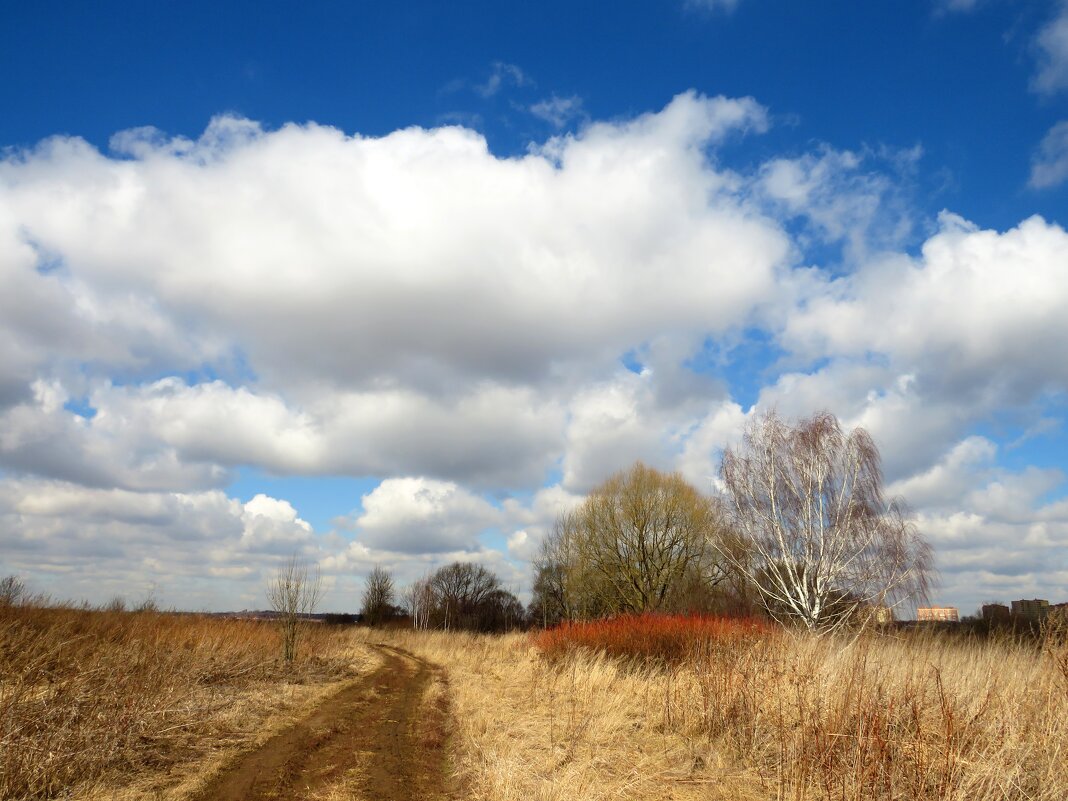 Пейзаж с облаками - Андрей Снегерёв