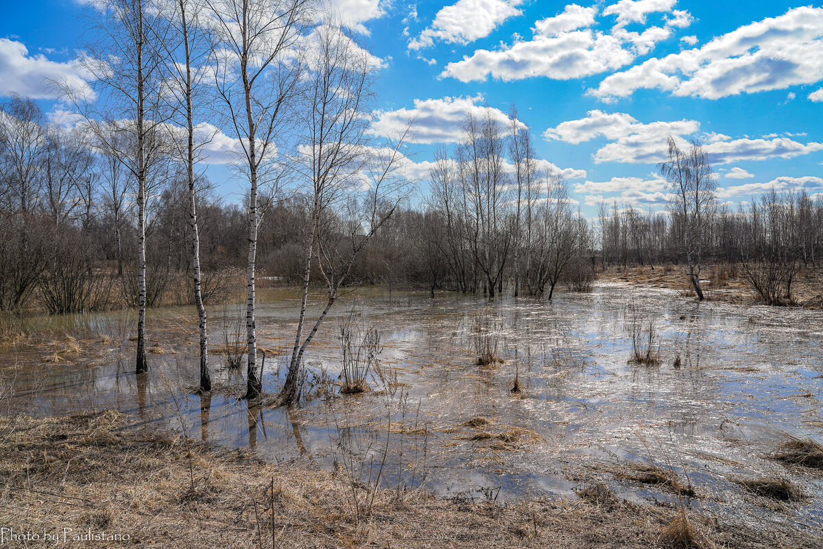 Апрельские воды... - Владимир Жданов