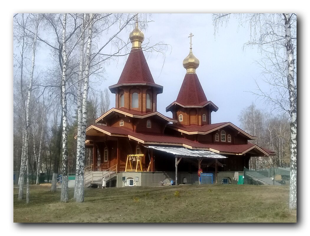 Строящийся храм "Всех скорбящих Радость" - Зоя Чария