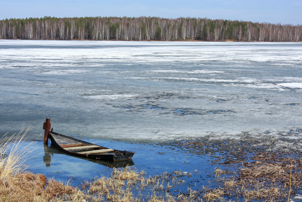 Весенний пейзаж с лодкой - Нэля Лысенко