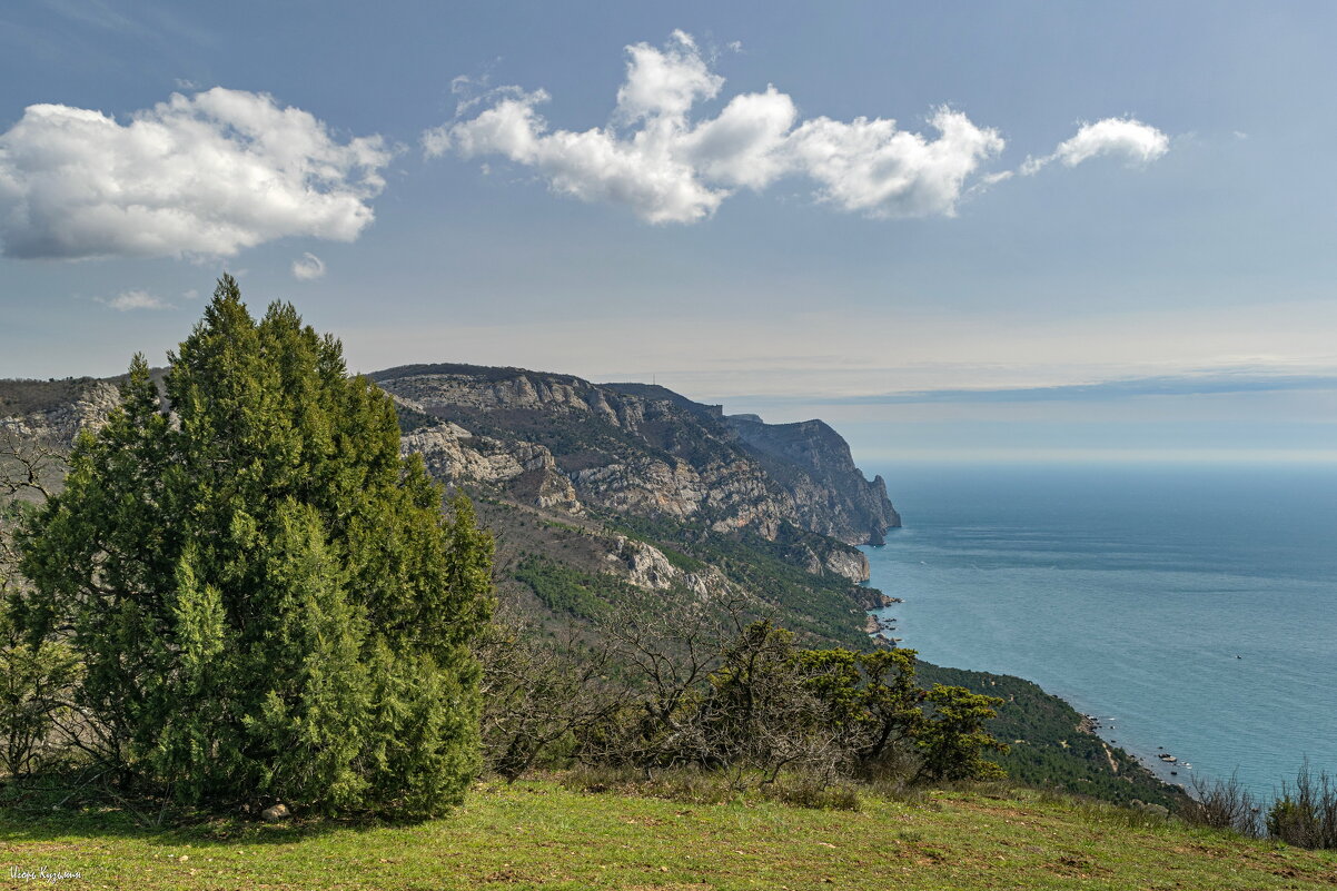 Мыс Айя панорама