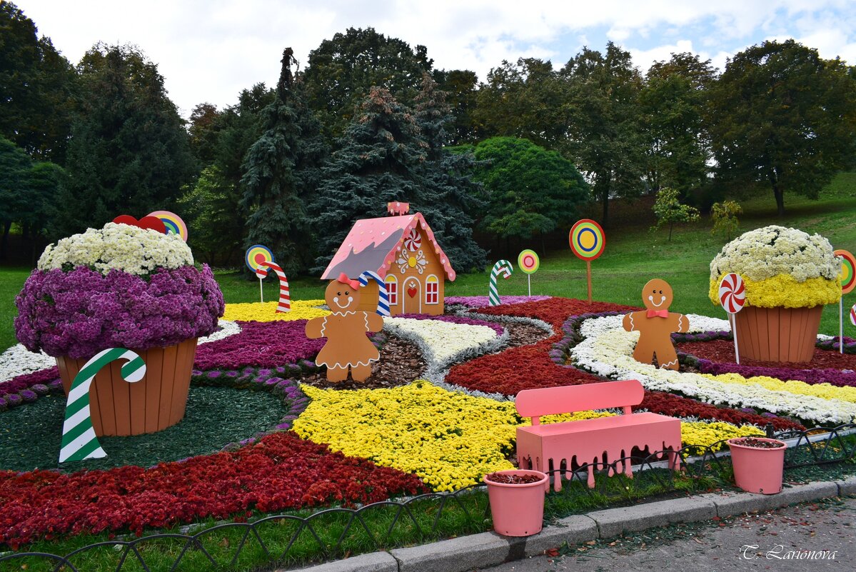 Праздник хризантем на Спивочем поле. Киев - Татьяна Ларионова