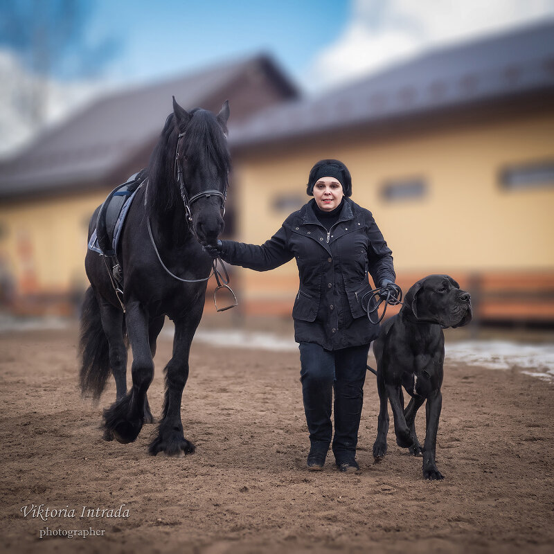 Мы пойдем с конем - Viktoria Intrada