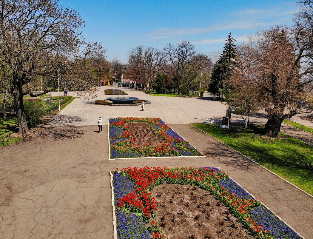 В весеннем парке - Андрей K.