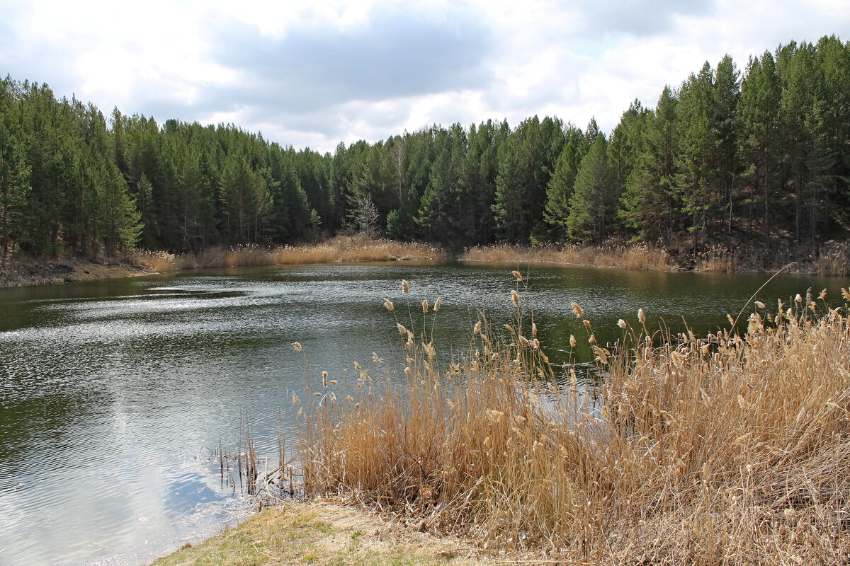 Небольшое озеро на месте бывшего карьера. - tamara kremleva