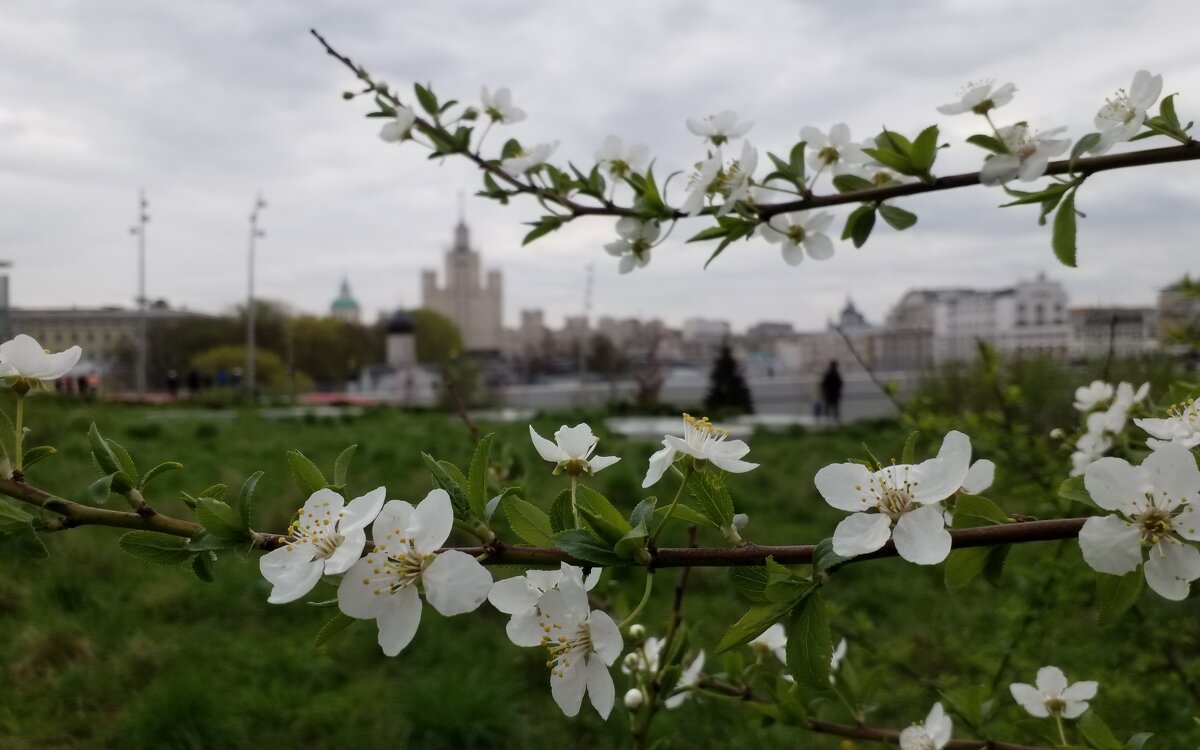 "Из Москвы с любовью.." - Марина Буренкова