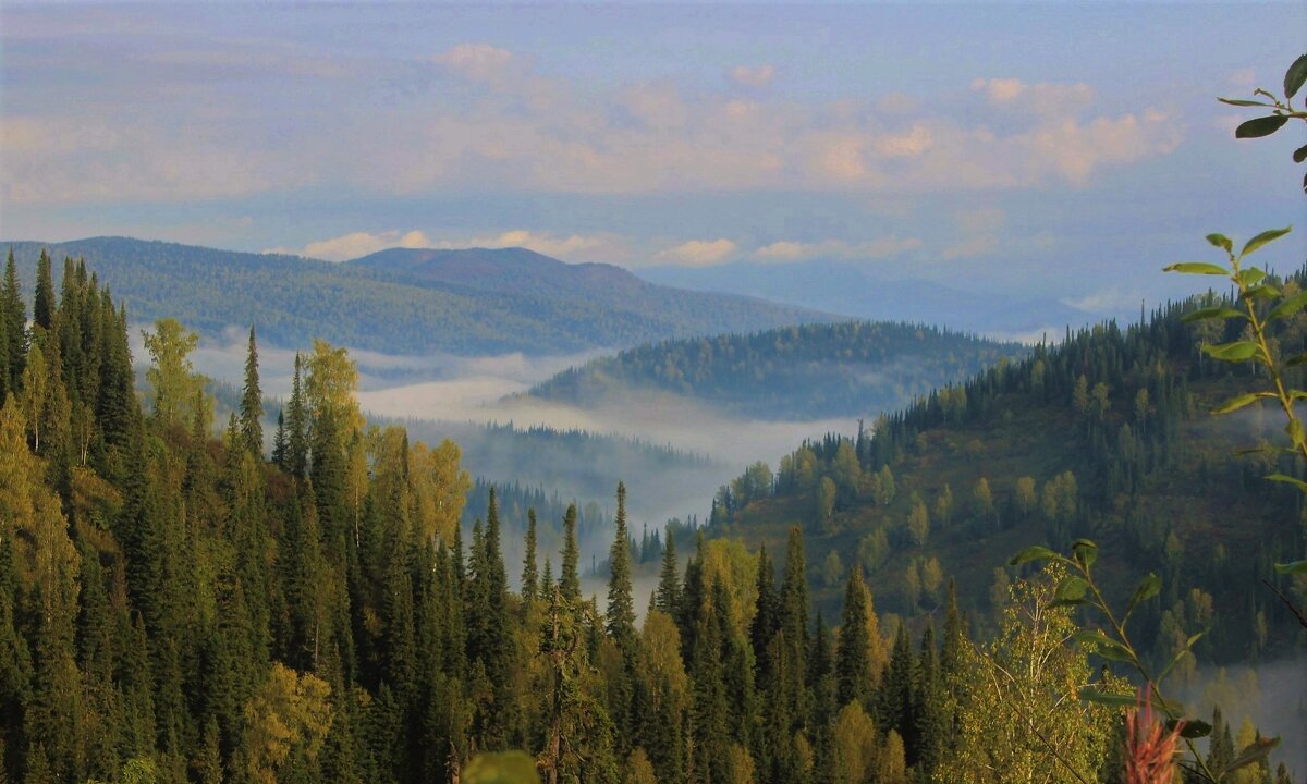 Утро в Кузнецком Алатау - Сергей Чиняев 