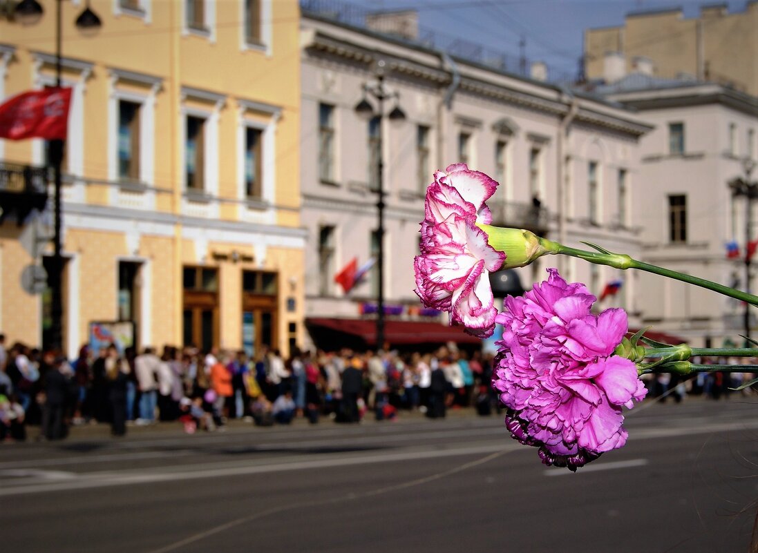 С ДНЁМ ПОБЕДЫ, ДРУЗЬЯ ! ЗДОРОВЬЯ И МИРНОГО НЕБА НАД ГОЛОВОЙ. - Виктор Никитенко