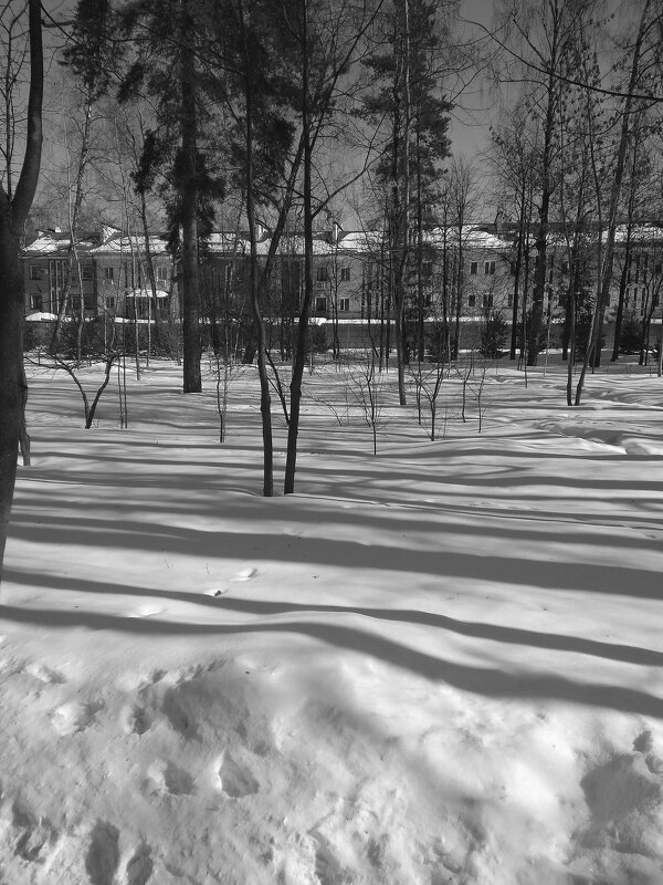 Зимние утро.... Мобильная фотография - Ksenia Sun