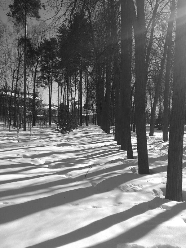 Зимние утро.... Мобильное фото - Ksenia Sun