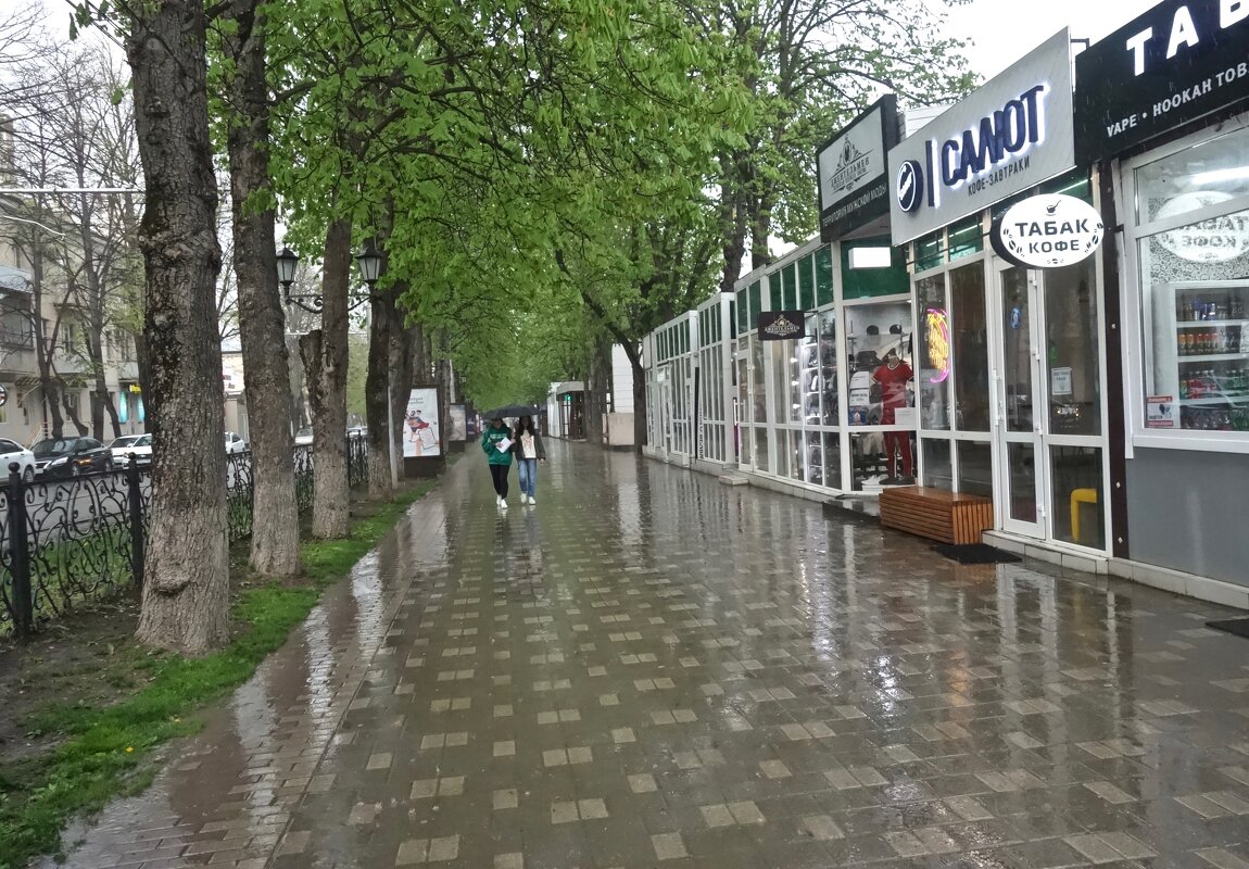 Дождливый день в Пятигорске - Елена 