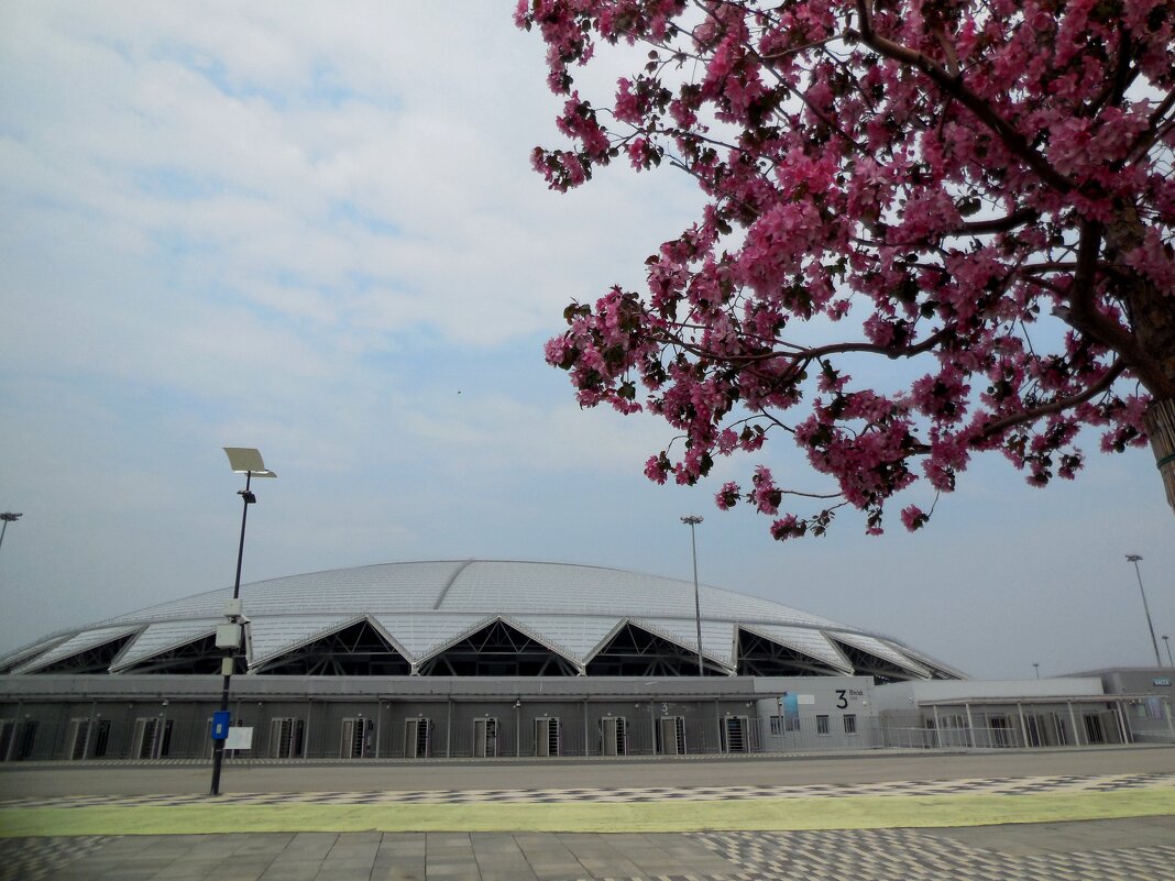 Самарский стадион весной - Надежда 