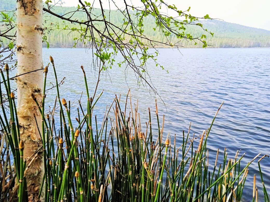 На озере - Oksana ***