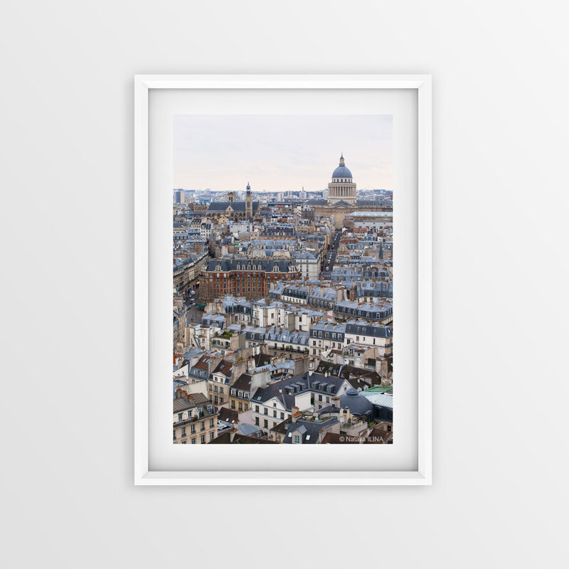 Вид на Париж с Нотр-Дам, 2019 - Фотограф в Париже, Франции Наталья Ильина