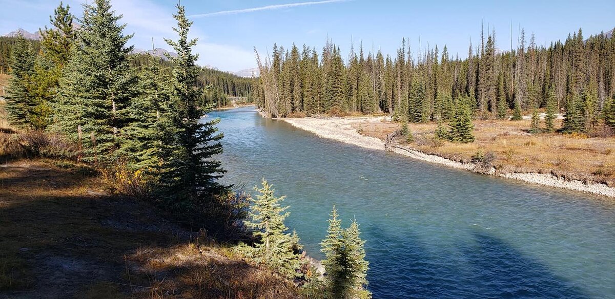 Река Боу в Скалистых горах Канады - Владимир Смольников