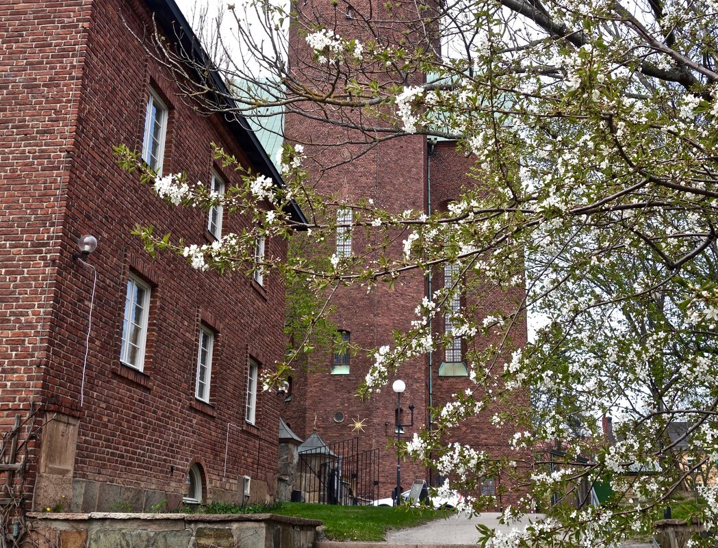 весна в Стокгольме - Елена 