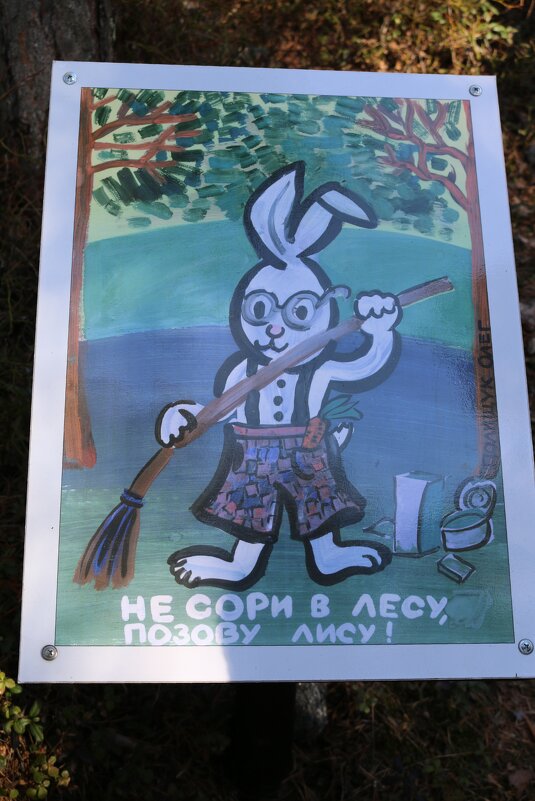Плакаты на экотропе - Ольга 