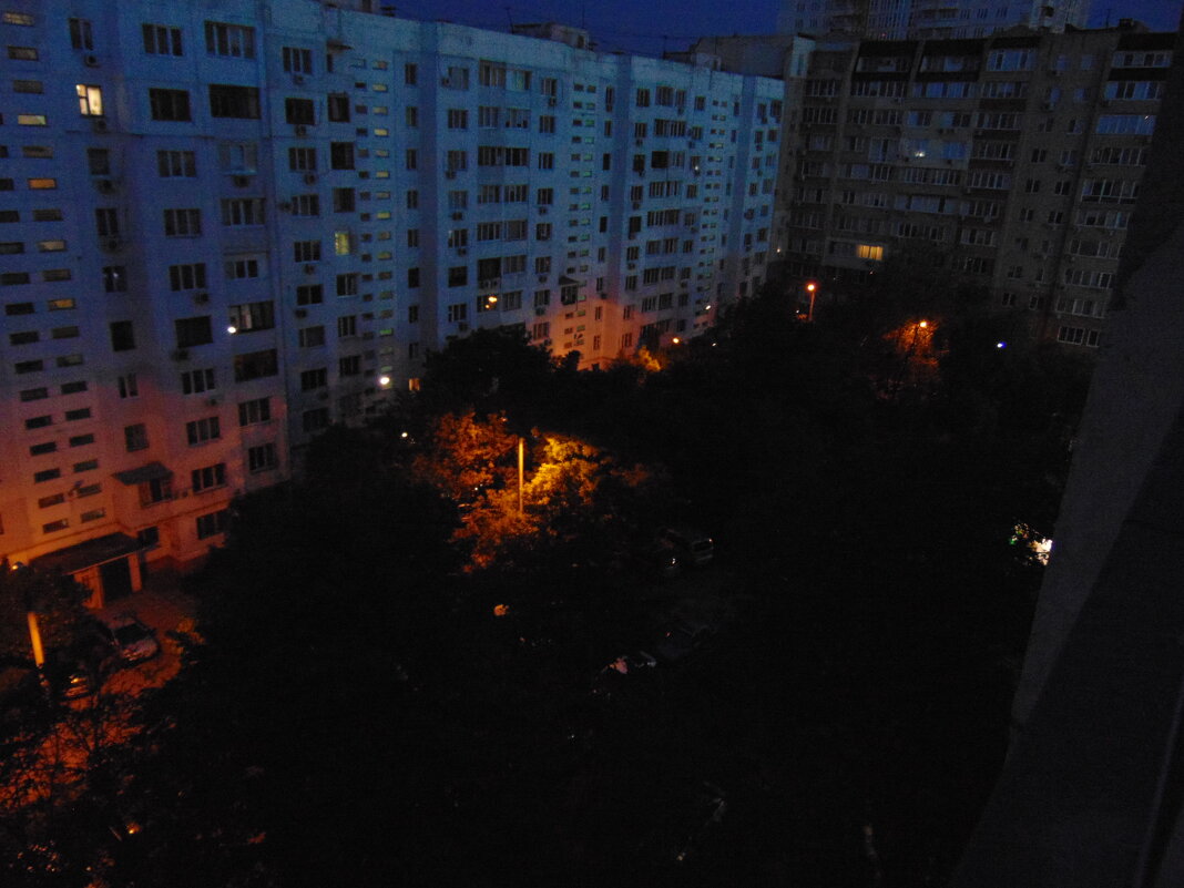 Ночной двор - Александр Скамо