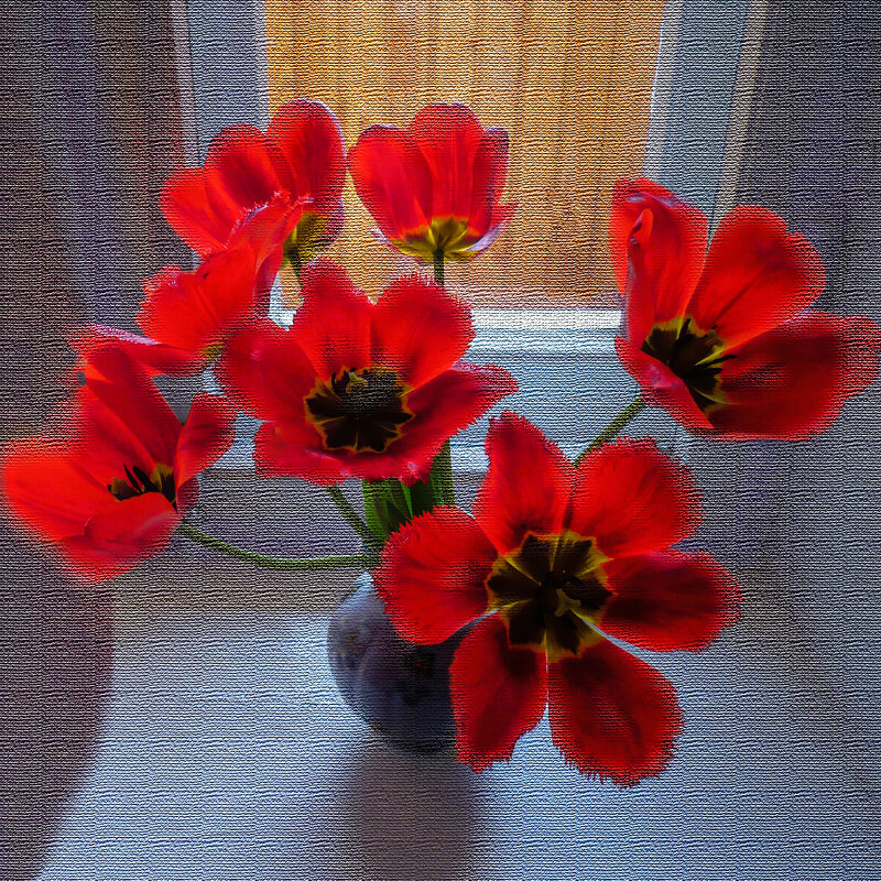 Королевские тюльпаны - Евгений 