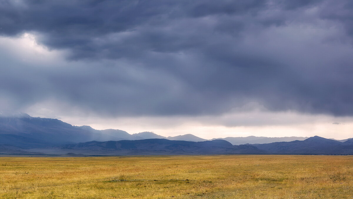 Курай степь