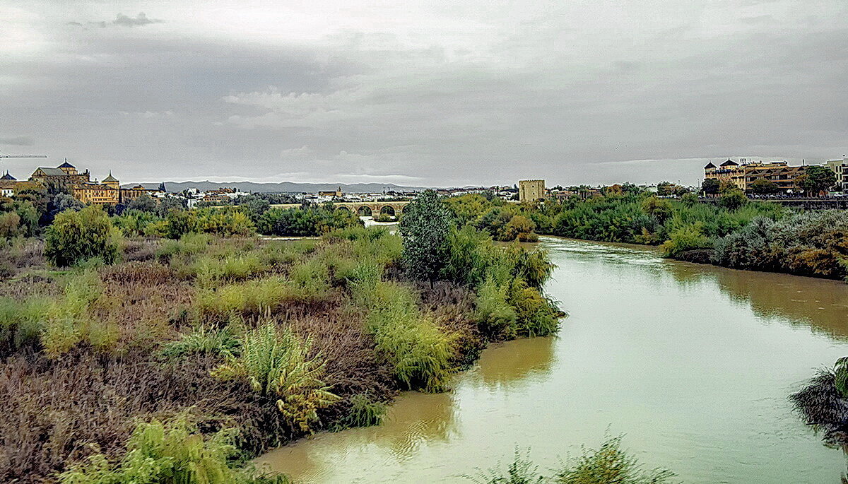 Cordoba - Arturs Ancans